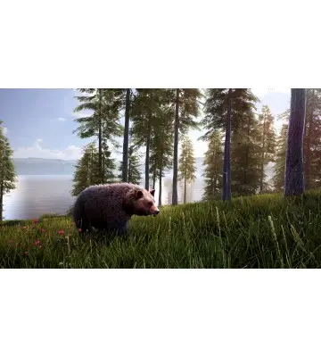 Гра Hunting Simulator 2: Bear Hunter Edition  для ПК (Ключ активації Steam)