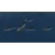 Игра Ironclads 2: Boshin War для ПК (Ключ активации Steam)