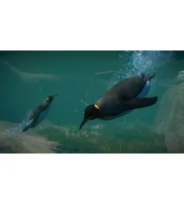 Доповнення Planet Zoo: Aquatic Pack  для ПК (Ключ активації Steam)