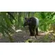 Доповнення Planet Zoo: Southeast Asia Animal Pack  для ПК (Ключ активації Steam)
