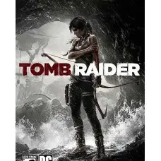 Игра Tomb Raider для ПК (Ключ активации Steam)