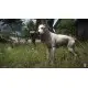 Доповнення Kingdom Come: Deliverance - A Woman's Lot  для ПК (Ключ активації Steam)