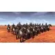 Доповнення Oriental Empires - Genghis  для ПК (Ключ активації Steam)