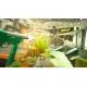 Игра Shooty Fruity для ПК (Ключ активации Steam)