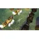 Игра Naval Warfare для ПК (Ключ активации Steam)