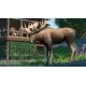 Доповнення Planet Zoo: North America Animal Pack  для ПК (Ключ активації Steam)