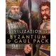 Дополнение Sid Meier’s Civilization VI - Byzantium and Gaul Pack для ПК (Ключ активации Steam)
