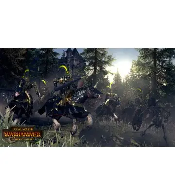 Дополнение Total War: WARHAMMER - The Grim and The Grave для ПК (Ключ активации Steam)