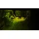 Гра Dungeons - Gold Edition  для ПК (Ключ активації Steam)