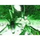 Игра Aliens versus Predator Classic 2000 для ПК (Ключ активации Steam)