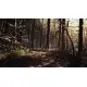 Гра Blair Witch для ПК (Ключ активації Steam)