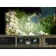 Игра Age of Wonders II: The Wizard's Throne для ПК (Ключ активации Steam)