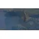 Доповнення Cities: Skylines - Natural Disasters  для ПК (Ключ активації Steam)