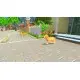 Гра My Universe - Puppies & Kittens  для ПК (Ключ активації Steam)