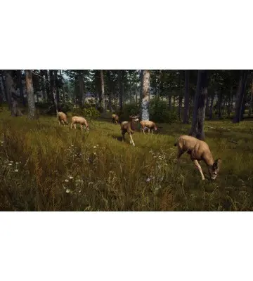 Гра Way of the Hunter  для ПК (Ключ активації Steam)