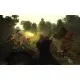 Гра Risen - Franchise Pack для ПК (Ключ активації Steam)