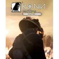 Игра RONIN: Two Souls CHAPTER 1 для ПК (Ключ активации Steam)