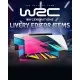 Дополнение WRC Generations - Livery editor extra items для ПК (Ключ активации Steam)