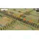 Доповнення Field of Glory II: Medieval - Sublime Porte  для ПК (Ключ активації Steam)