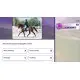 Гра Equestrian Training  для ПК (Ключ активації Steam)