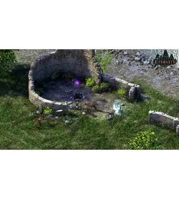 Гра Pillars of Eternity - Definitive Edition  для ПК (Ключ активації Steam)