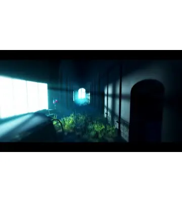 Игра Acanthoceras для ПК (Ключ активации Steam)