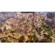 Игра The Settlers 7: Paths to a Kingdom - History Edition для ПК (Ключ активации Ubisoft Connect)